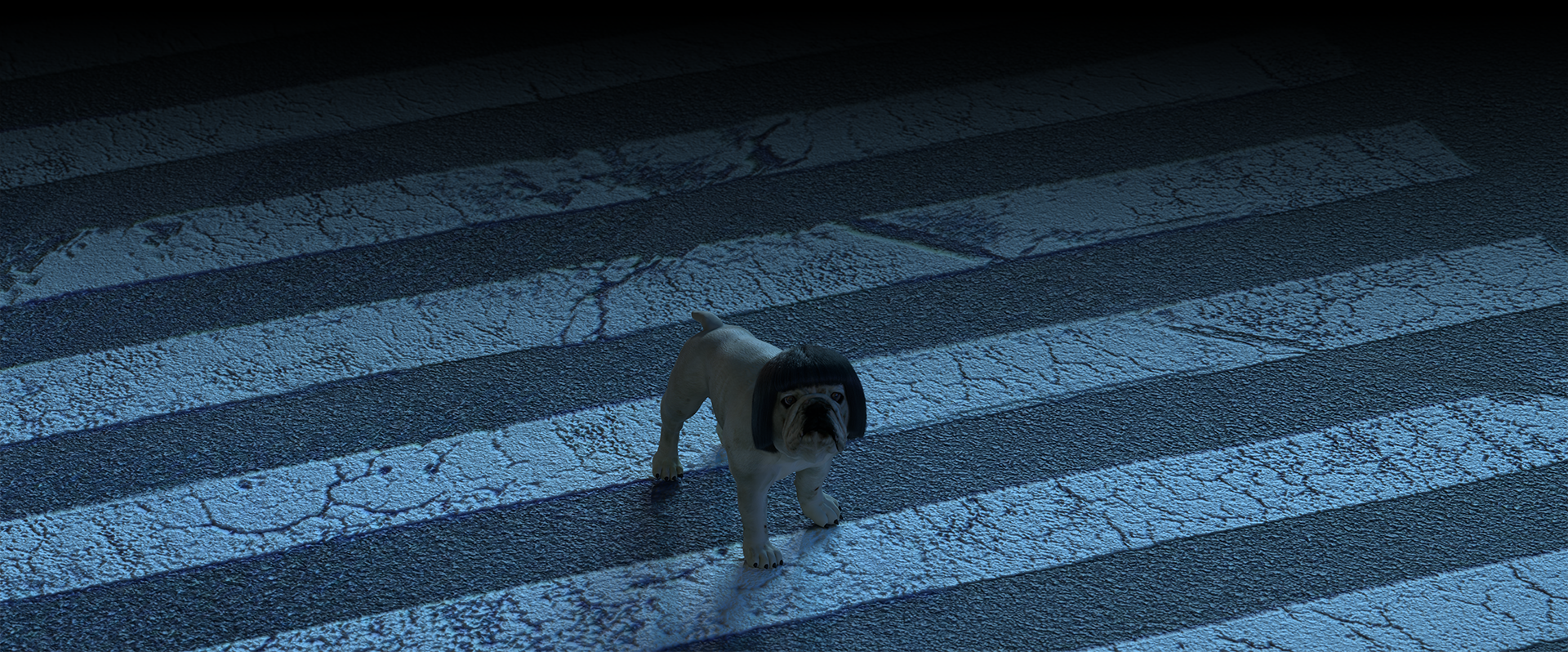Image of dog on crosswalk