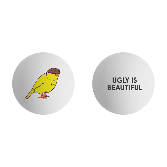 Ugly is Beautiful Ping Pong Balls
